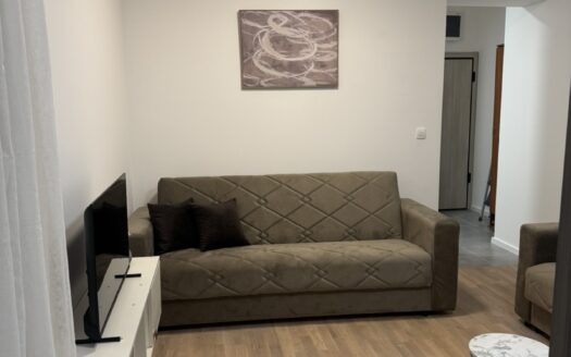 Studio apartment for rent, Momišići, Podgorica