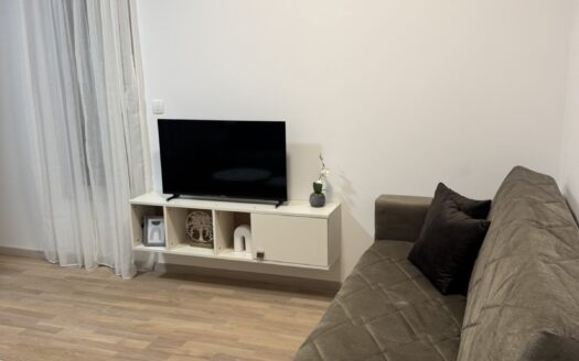 Studio apartment for rent, Momišići, Podgorica