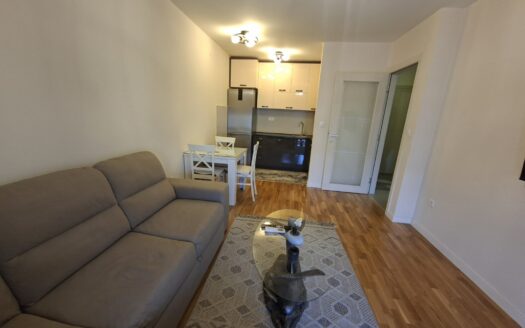 One bedroom apartment for rent, Pobrežje, Podgorica