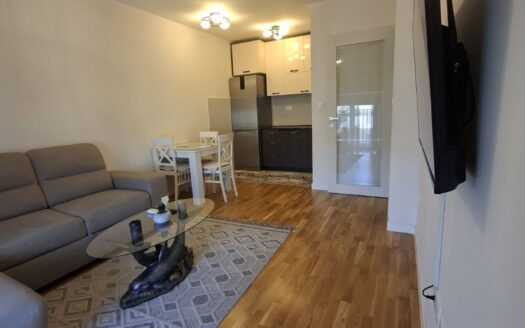 One bedroom apartment for rent, Pobrežje, Podgorica