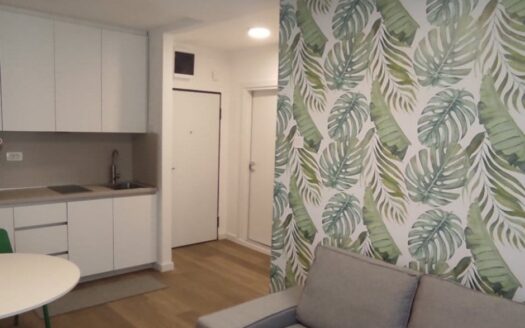 Jednosoban stan za izdavanje, Preko Morače, Podgorica