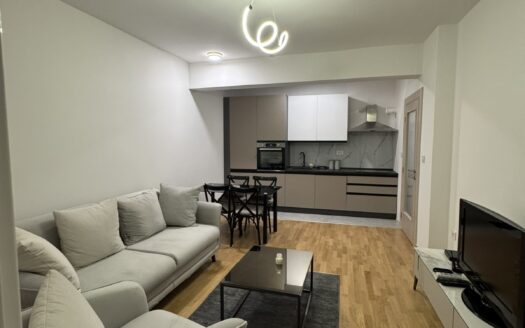 One bedroom apartment for rent, Stara Varoš, Podgorica