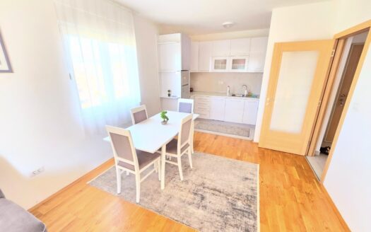 One bedroom apartment for rent, Stari Aerodrom, Podgorica