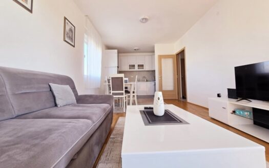 One bedroom apartment for rent, Stari Aerodrom, Podgorica