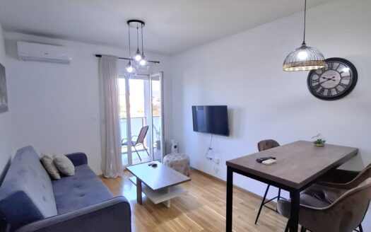 One bedroom apartment for rent, Zabjelo, Podgorica