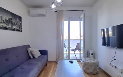 One bedroom apartment for rent, Zabjelo, Podgorica