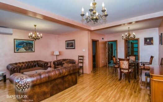 Ribnica Riverbank House for Rent, Stari Aerodrom, Podgorica