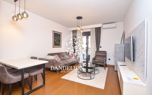 Apartman Elegance, Ljubović hills, Podgorica