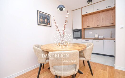 One bedroom apartment for rent, Central Point, Podgorica