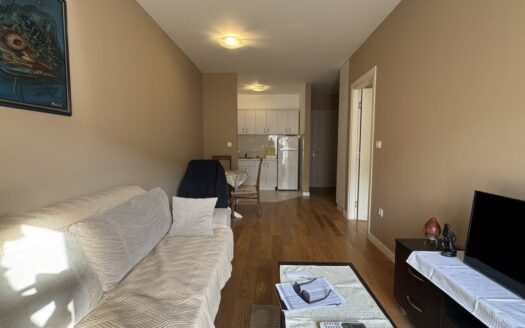 Jednosoban stan za izdavanje, Central Point, Podgorica