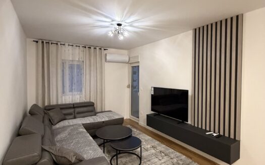 Dva jednosobna stana za izdavanje, Central Point, Podgorica