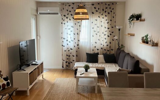 Jednosoban stan za izdavanje, Central Point, Podgorica