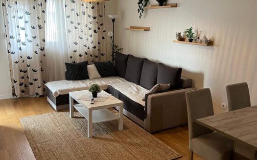 Jednosoban stan za izdavanje, Central Point, Podgorica