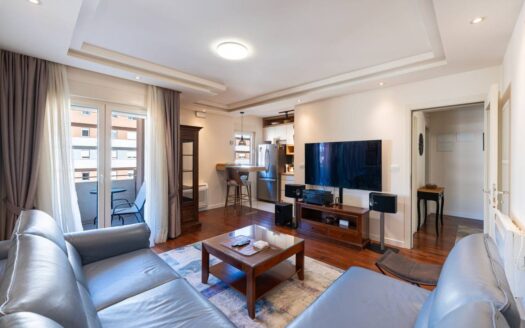 Two bedroom apartment for rent, Central Point, Podgorica