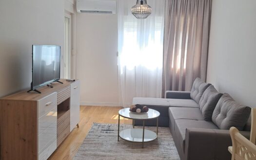 One bedroom apartment for rent, Central Point, Podgorica