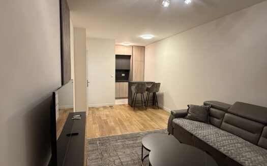 Dva jednosobna stana za izdavanje, Central Point, Podgorica