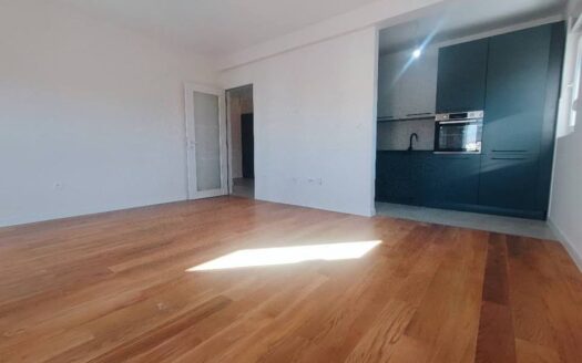Two bedroom apartment for rent, Central Point, Podgorica
