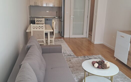 One bedroom apartment for rent, Central Point, Podgorica