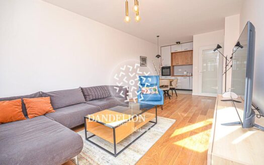 One bedroom apartment for rent, Central Point, Podgorica