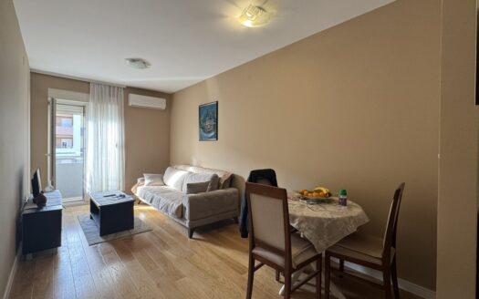 Jednosoban stan za izdavanje, Central Point, Podgorica