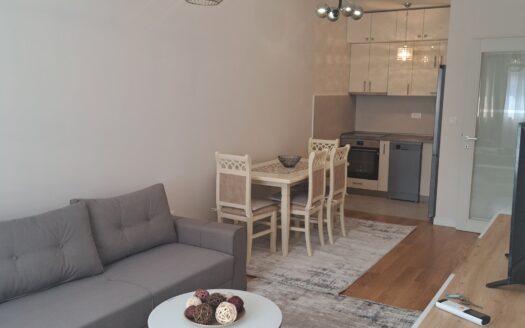 One bedroom apartment for rent, Central Point, Podgorica