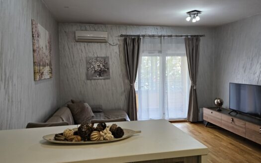One bedroom apartment for rent, City kvart, Podgorica