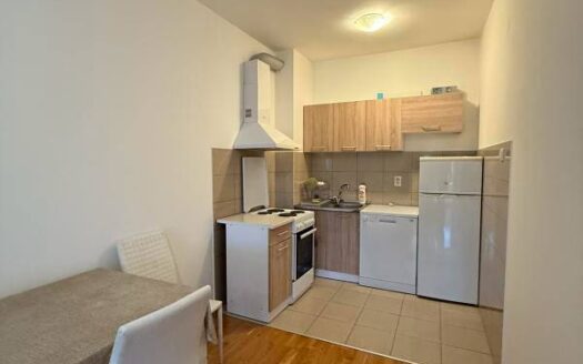 One bedroom apartment for rent, Ljubović, Podgorica