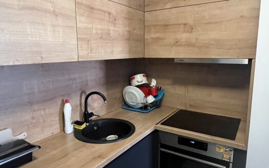 One bedroom apartment for rent, Master kvart, Podgorica