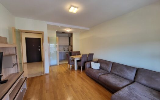 Three bedroom apartment for rent, Momišići, Podgorica