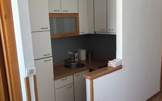 One bedroom apartment for rent, Momišići, Podgorica