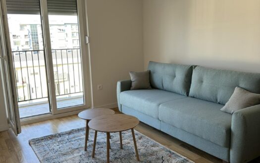 One bedroom apartment for rent, Pobrežje, Podgorica