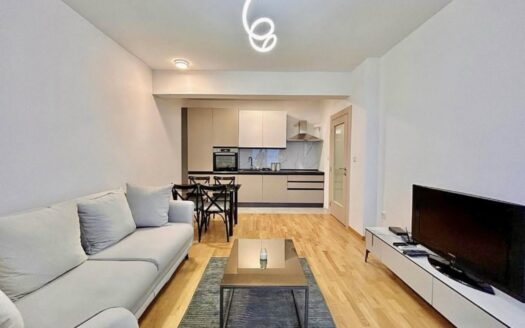 One bedroom apartment for rent, Stara Varoš, Podgorica