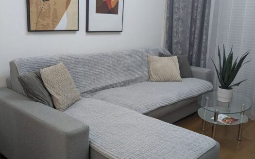 One bedroom apartment for rent, Tološi, Podgorica