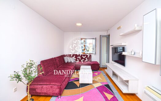 One bedroom apartment for rent, Tološki apartmani, Podgorica