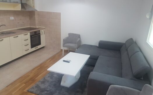One bedroom apartment for rent, Zabjelo, Podgorica