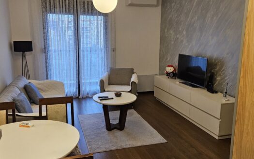 One Bedroom Apartment, Hill Homes, Ljubović, Podgorica