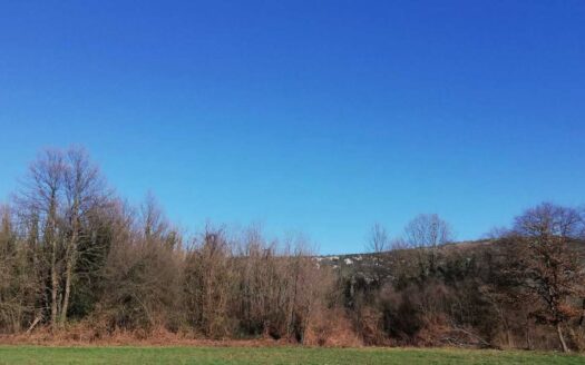 Plac na prodaju, Danilovgrad