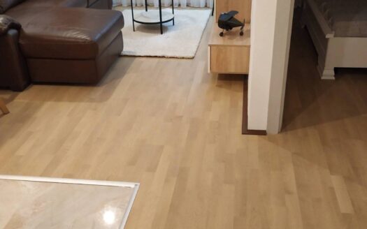 One bedroom apartment for rent, Central Point, Podgorica