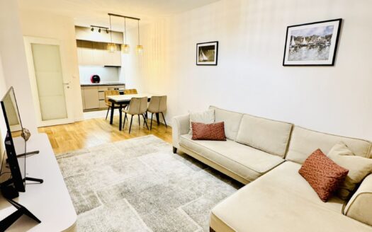One bedroom apartment for rent, Central Point, Podgorica