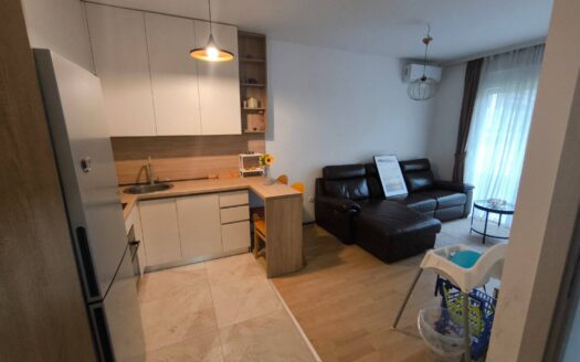 One bedroom apartment for rent, Central Point, Podgorica