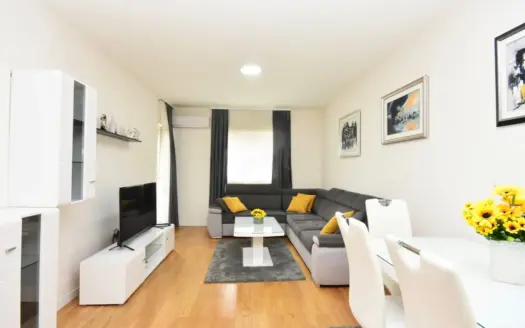 One bedroom apartment for rent, Central Point, Podgorica