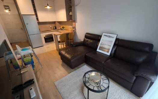 One bedroom apartment for rent, Central Point, Podgorica