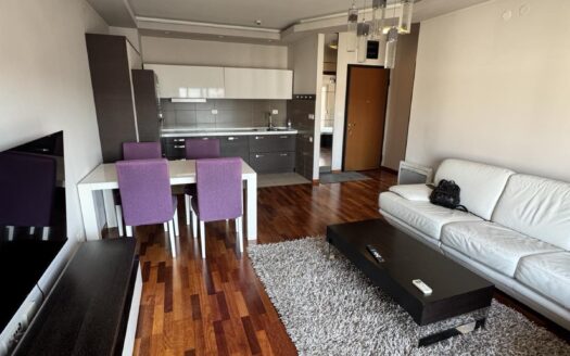 Jednosoban stan za izdavanje, City kvart, Podgorica