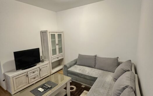 One bedroom apartment for rent, Dalmatinska, Podgorica