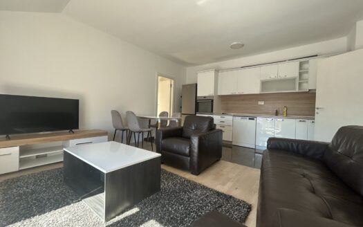 Two bedroom apartment for rent, Dalmatinska, Podgorica