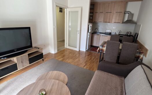 One bedroom apartment for rent, Pobrežje, Podgorica