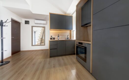 Duplex for rent, Pobrežje, Podgorica