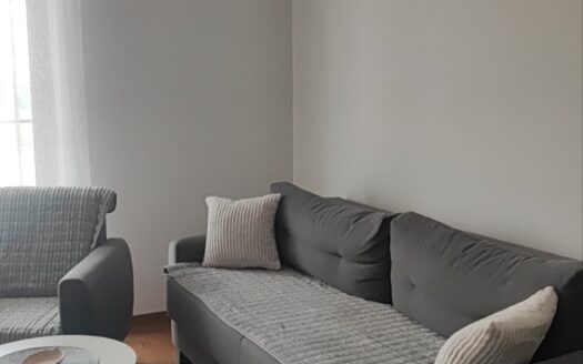 One bedroom apartment for rent, Stara Varoš, Podgorica