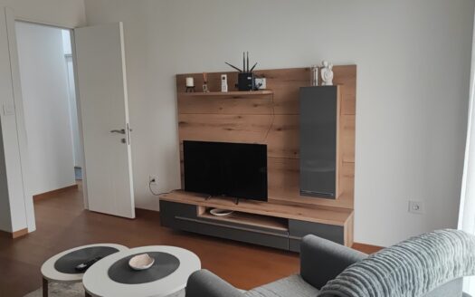 One bedroom apartment for rent, Stara Varoš, Podgorica