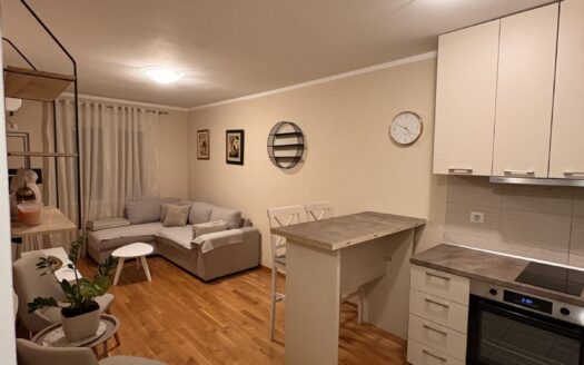 One bedroom apartment for rent, Zabjelo, Podgorica